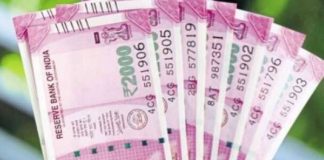 NPS Central Government Social Security Scheme : Open this special account in the name of wife today, you will get Rs 44,793 every month; Know the full method here Retirement planning: By depositing Rs 5000 in NPS every month, know how much pension you will get on retirement