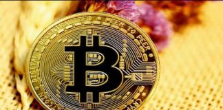 Cryptocurrency News Today : The rally in cryptocurrencies stopped, today the decline in Bitcoin, Shiba and Dogecoin Cryptocurrency News Today : The rally in cryptocurrencies stopped, today the decline in Bitcoin, Shiba and Dogecoin