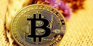 Cryptocurrency : Good news! for those who invest money in cryptocurrencies, today the price has increased so much, know full information here Cryptocurrency : Good news! for those who invest money in cryptocurrencies, today the price has increased so much, know full information here