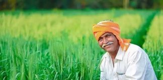 Government : big news! This decision of the government will directly benefit lakhs of farmers, check the details here immediately Government : big news! This decision of the government will directly benefit lakhs of farmers, check the details here immediately
