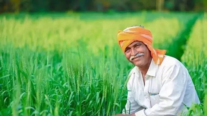 Government : big news! This decision of the government will directly benefit lakhs of farmers, check the details here immediately