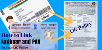 LIC policy : If you have taken LIC policy, then definitely link PAN card, how to do it – Know here step-by-step process, you will have trouble ahead LIC policy : If you have taken LIC policy, then definitely link PAN card, how to do it - Know here step-by-step process, you will have trouble ahead