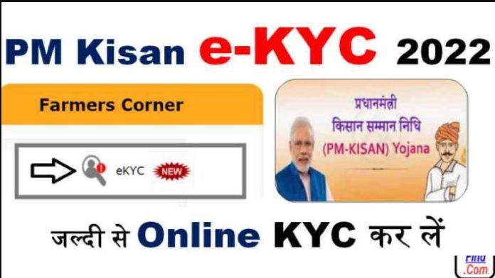 PM Kisan : Today is the last chance, do e-KYC sitting at home in just 5 steps or else you will not get 2000 rupees of 11th installment