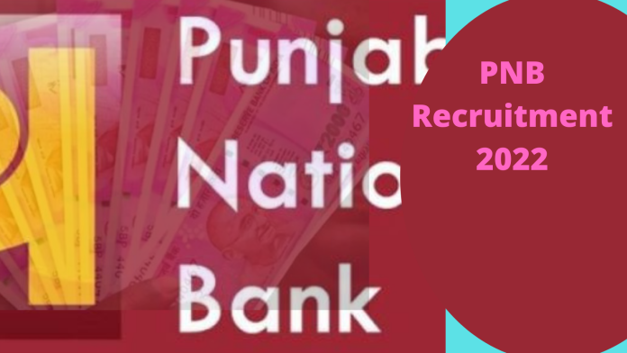 PNB Recruitment 2022 : Recruitment for the posts of peon in Punjab National Bank,12th pass apply, selection will be done without examination