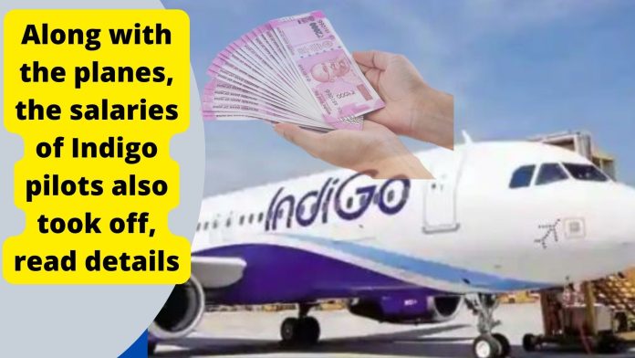 Domestics flights : Along with the planes, the salaries of Indigo pilots also took off, read details