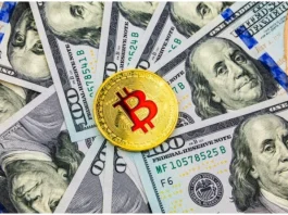 Cryptocurrency Price: Millions of people who bought bitcoin suffered such a huge loss in just 8 months