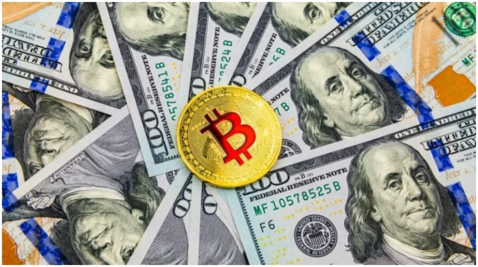Cryptocurrency Price: Millions of people who bought bitcoin suffered such a huge loss in just 8 months