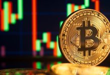Crypto Scam: If you invest in crypto then be alert, one mistake will empty your bank account