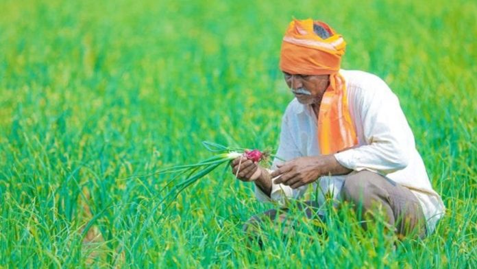 Modi government Good News: Modi government's gift to farmers, loan will be available only on such interest