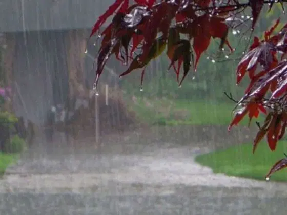 IMD Alert: Big news! Rain-storm alert in 24 districts, possibility of thunder-hail, know complete details