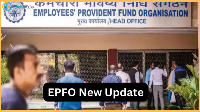 EPFO Big Update : EPFO gave important news to its members! You will also be happy after hearing this EPFO Big Update : EPFO gave important news to its members! You will also be happy after hearing this