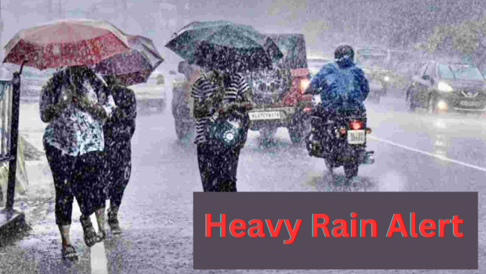 IMD Rainfall Alert : Heavy rain in next 48 hours in 10 states, will increase in these states... Know IMD's update