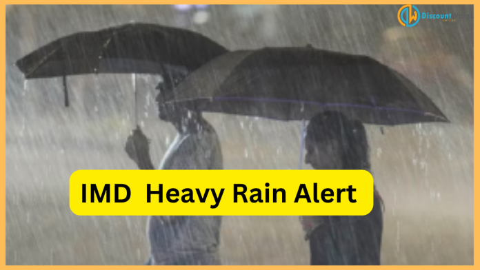 IMD Rainfall Alert : Heavy rain in many states till November 8, nights will be hot, temperature will fall in Delhi-UP, fog will increase... know IMD's estimate.