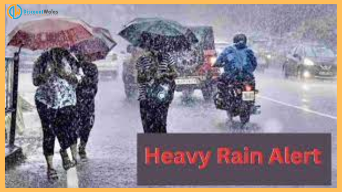 IMD New Rainfall Alert: Alert of heavy rain in these states, cold will increase in Delhi-UP, know IMD's forecast