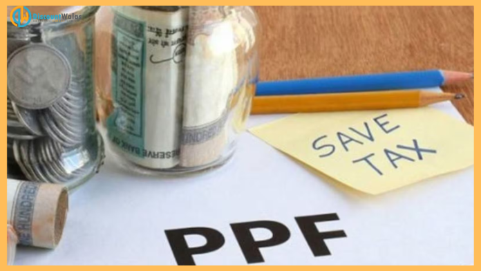 Public Provident Fund : Everyone should know 8 rules related to PPF account