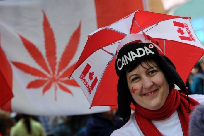 These Are The 8 Highest Paying Jobs In Canada For 2024