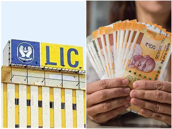 LIC announces profit of Rs 9444 crore, dividend of Rs 4 on every share
