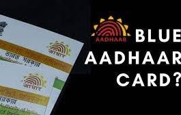 Blue Aadhaar Card : Haven't got your child's Blue Aadhaar Card made yet? See the simplest method here