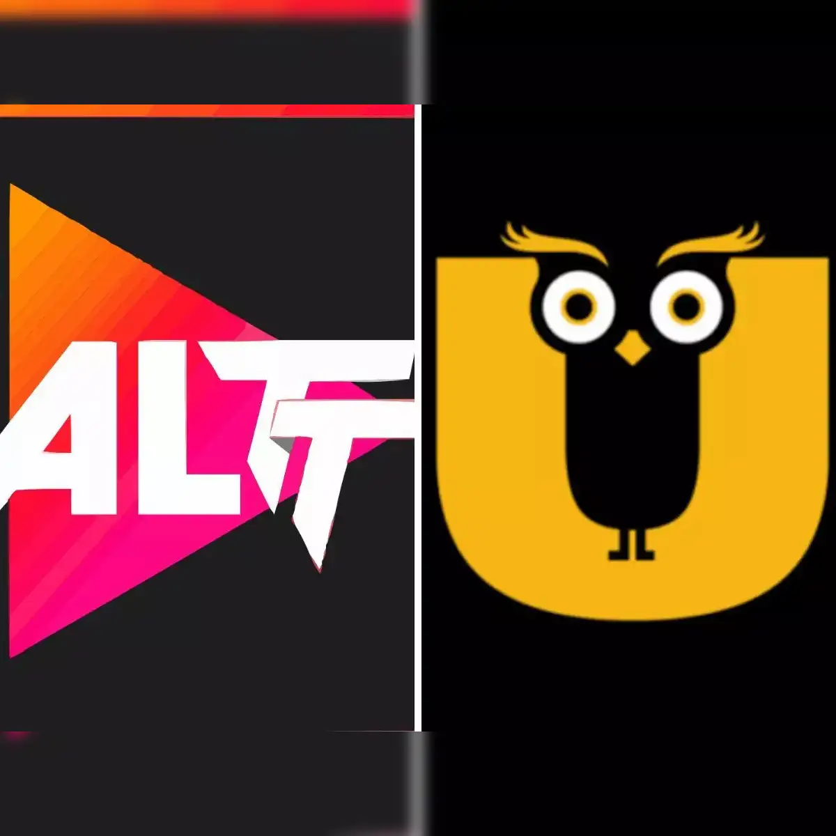 25 OTT apps like ULLU TV, Desiflix and ALTT banned in India; Why did the government take this action? 25 OTT apps like ULLU TV, Desiflix and ALTT banned in India; Why did the government take this action?
