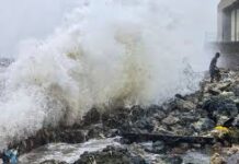 Cyclone Ditwah: Red Alert,Trains,Flights Halted Before Nov 30 Landfall