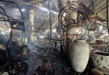 Goa Nightclub Fire: All 25 Victims Identified; Full List Released