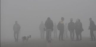 Delhi Fog & Air Quality Update Dec 30: 100+ Flights Cancelled; AQI at 388 Ahead of ‘Severe’ New Year Forecast