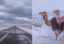 Saudi Arabia’s Desert Turns White: Rare 30-Year Snowfall