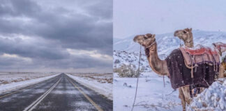 Saudi Arabia’s Desert Turns White: Rare 30-Year Snowfall