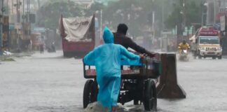 Stuck & Soaking: Ditwah Remnant Still Pounding Chennai; Orange Alert Stays for Tonight