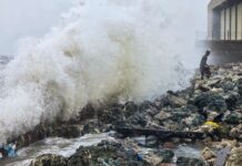 Ground Zero: Ditwah Aftermath—Tiruvallur Still Slams, Farmland Submerged