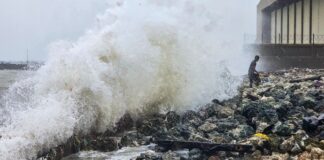 Ground Zero: Ditwah Aftermath—Tiruvallur Still Slams, Farmland Submerged