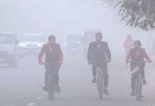 Delhi Hits Record Low, School Closures in UP Amid Red Alert