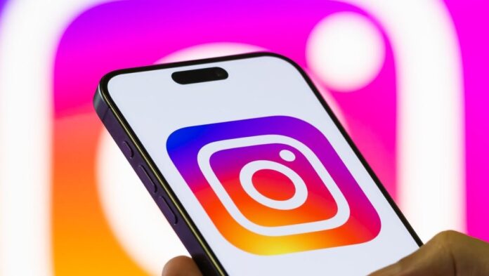 z3wq-2025-12-11t184403389_xha2