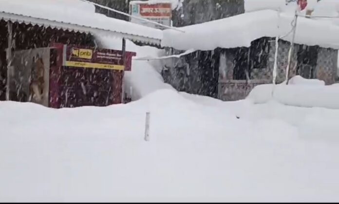 1000754759_1740713359