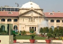 Allahabad High Court Rules: No Maintenance for Wife if She Contributes to Husband’s Incapacity to Earn