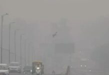 Delhi Cold Wave: Safdarjung Hits 2.9°C, Palam Records Coldest Morning Since 2010