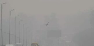 Delhi Cold Wave: Safdarjung Hits 2.9°C, Palam Records Coldest Morning Since 2010