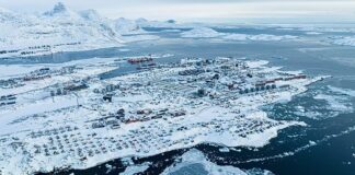 Denmark “Shoot First” Warning to US: Greenland Conflict 2026 Denmark "Shoot First" Warning to US: Greenland Conflict 2026