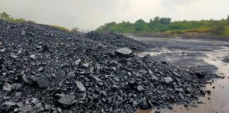 Bharat Coking Coal IPO Listing Postponed: New Dates for Refunds & Jan 19 Listing Revealed