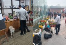 Gurugram School Bomb Threat 2026: 8 Schools Evacuated; Board Exams Postponed