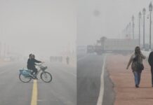 Delhi Cold Wave 2026: 7°C Chill & Dense Fog Disrupt Flights; Essential Tips to Prevent Hypothermia