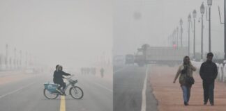 Delhi Cold Wave 2026: 7°C Chill & Dense Fog Disrupt Flights; Essential Tips to Prevent Hypothermia