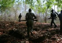 Chhattisgarh Encounter: 14 Maoists Killed in Sukma & Bijapur; Top Leader Mangdu Among Dead