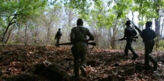 Chhattisgarh Encounter: 14 Maoists Killed in Sukma & Bijapur; Top Leader Mangdu Among Dead