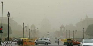 Under the Sun: Delhi Braces for 30°C as Winter Fades Rapidly in February 2026