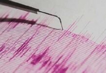 Andaman and Nicobar Islands Hit by 4.6 Magnitude Earthquake: No Tsunami Threat Reported