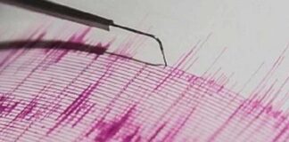 Andaman and Nicobar Islands Hit by 4.6 Magnitude Earthquake: No Tsunami Threat Reported