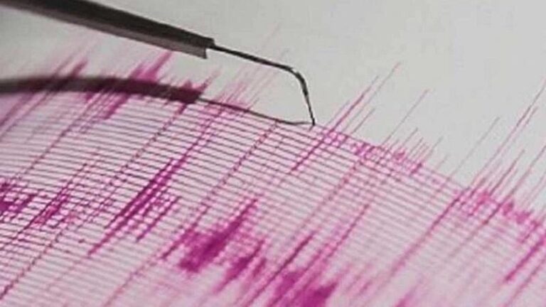 Andaman and Nicobar Islands Hit by 4.6 Magnitude Earthquake: No Tsunami Threat Reported