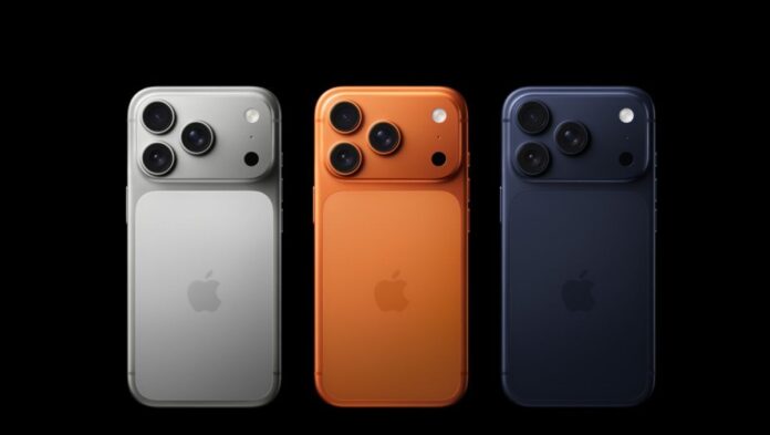 z3wq-2025-12-30t121448161_683s