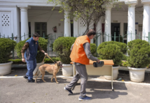 Delhi Police Track Down Mysuru Man Behind Month-Long Hoax Bomb Threat Spree